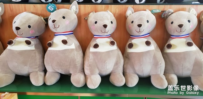 一些軟萌的東東