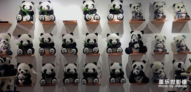 一些軟萌的東東