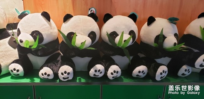 一些軟萌的東東