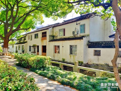 【為中國添色】蘇州色彩(綠/黃) （大眾組）