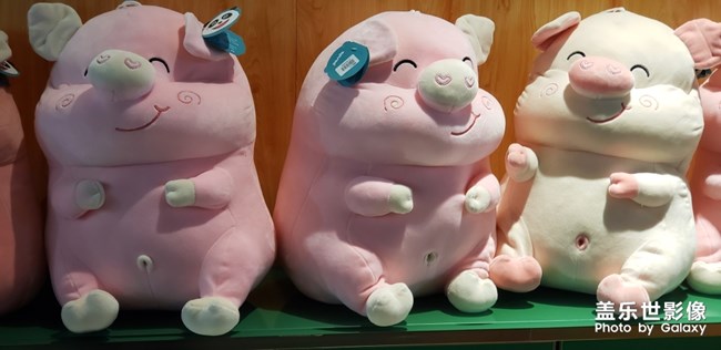 一些軟萌的東東