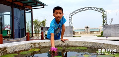 【為中國(guó)添色】紅色睡蓮 情侶鸚鵡 美麗北海 （大眾組）