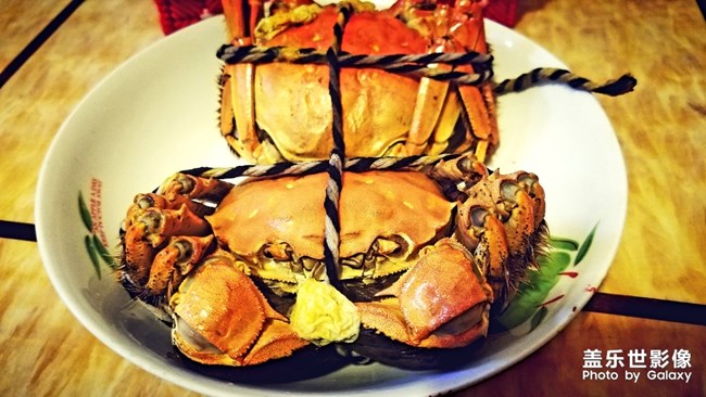 【手機(jī)里的美食】+舌尖上的中國