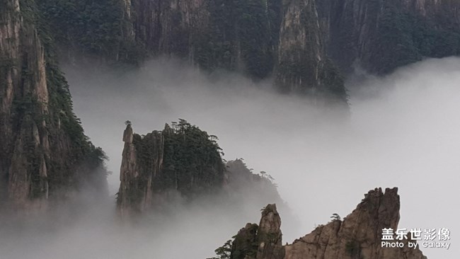 【黃山-云海】
