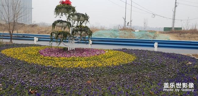 高速路高速路口拍照我也是沒誰了？扣12分？