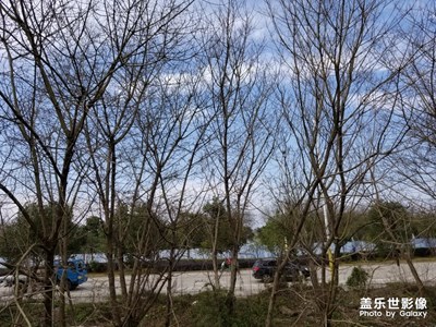 【時光】+光陰似箭