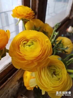 【時(shí)光】陽臺(tái)僅存的風(fēng)景