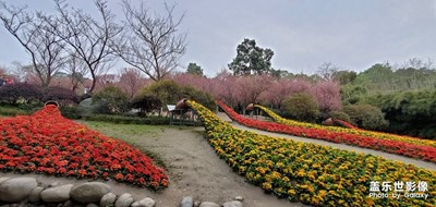 已開獎 蓋樂世影像周賽第81期——踏春