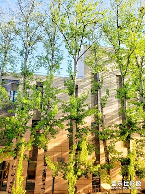 【陽光的味道】+晨曦景色