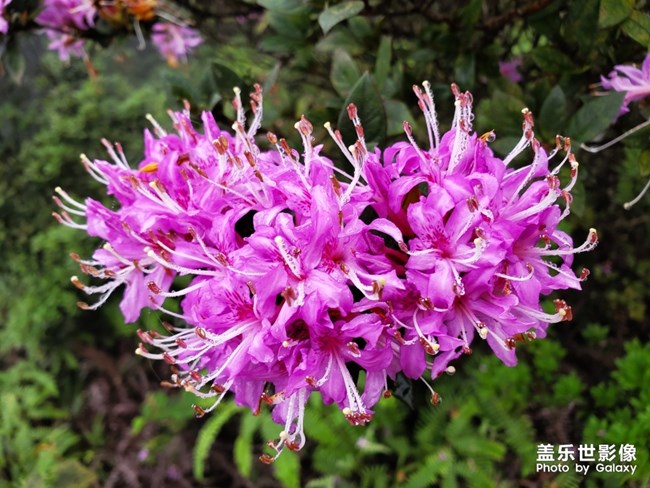 【每周精帖匯145-146】五一小長假各位如何度過的呢？