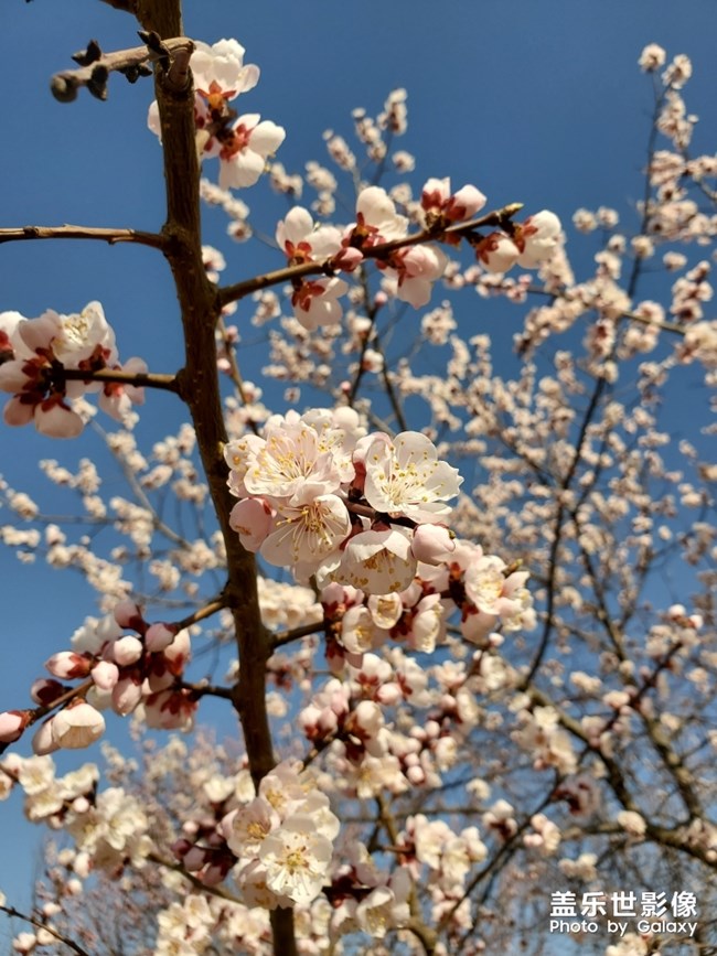 【每周精帖匯145-146】五一小長假各位如何度過的呢？