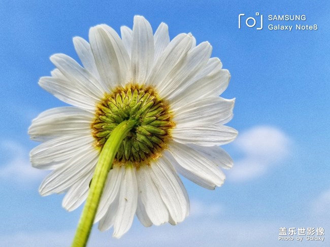 【每周精帖匯145-146】五一小長假各位如何度過的呢？