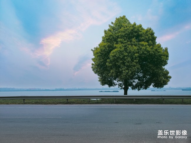 【每周精帖匯145-146】五一小長假各位如何度過的呢？