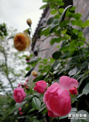 【不負(fù)好春光】城南“舊事”