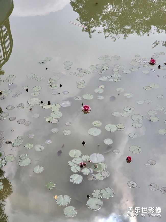 S10相機太差了，拍出來的照片還不如我以前的小米6好！