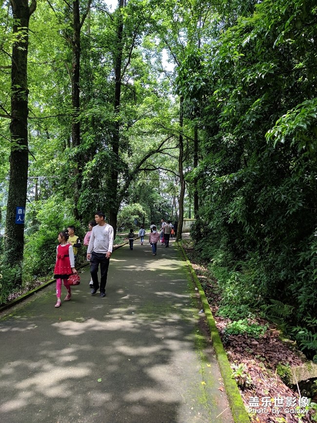 白天拍照還可以，希望a70也能增加夜景模式，謝謝