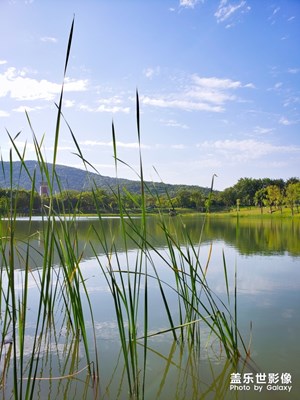 【玩轉(zhuǎn)五一】+湯山