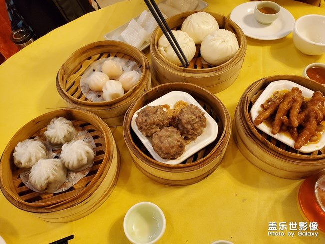 順德四日游第三天