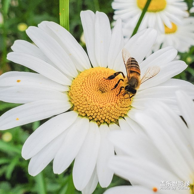 【玩轉(zhuǎn)五一】
小長假農(nóng)村一游