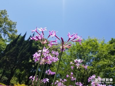 【走四方】+雜記