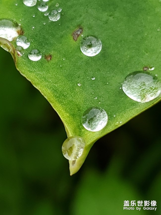 【每周精帖匯148】520如何向心儀的Ta表白呢？