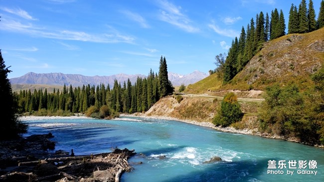 【每周精帖匯148】520如何向心儀的Ta表白呢？