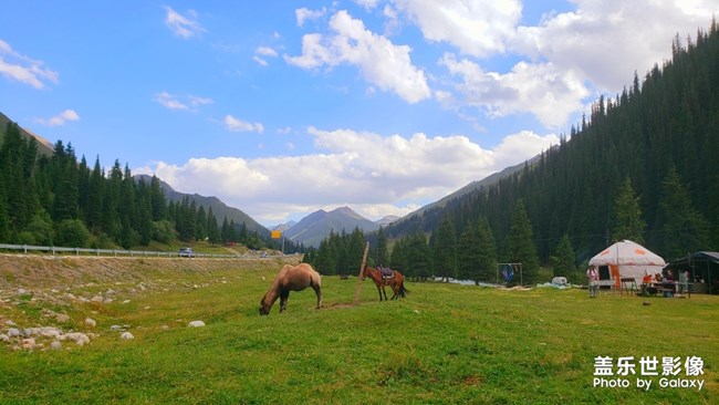 【每周精帖匯148】520如何向心儀的Ta表白呢？