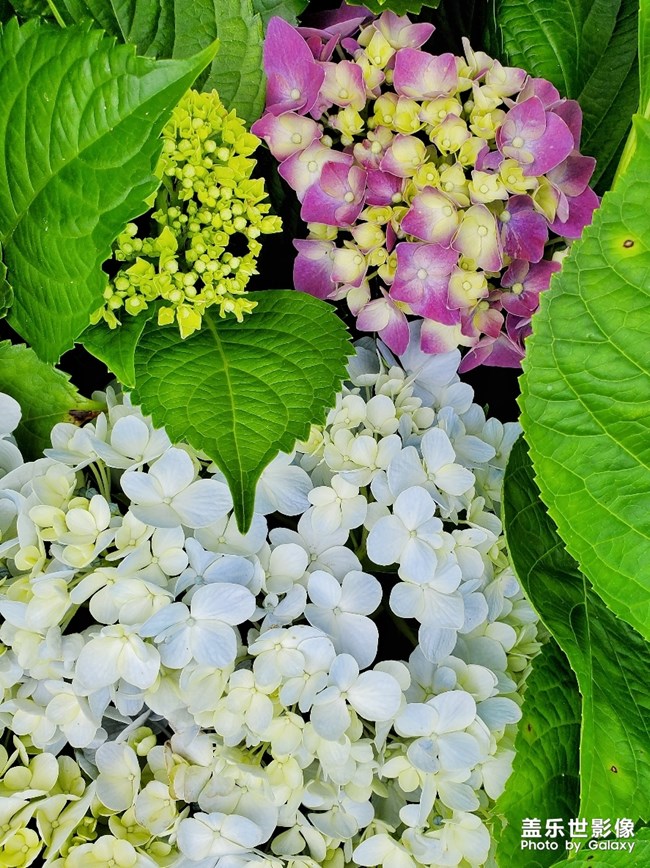 【每周精帖匯149-150】還記得童年快樂的時光嗎？