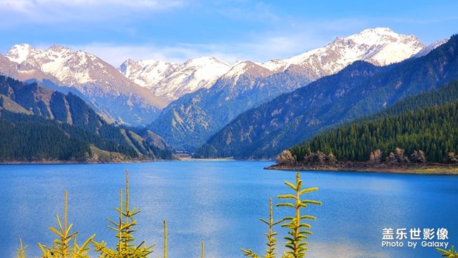 【每周精帖匯149-150】還記得童年快樂的時光嗎？