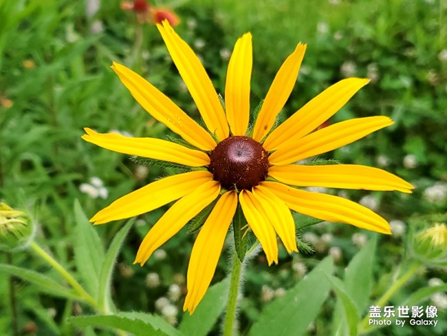 【每周精帖匯149-150】還記得童年快樂的時光嗎？