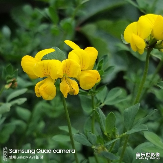 【每周精帖匯151】祝各位爸爸父親節(jié)快樂(lè) 身體安康