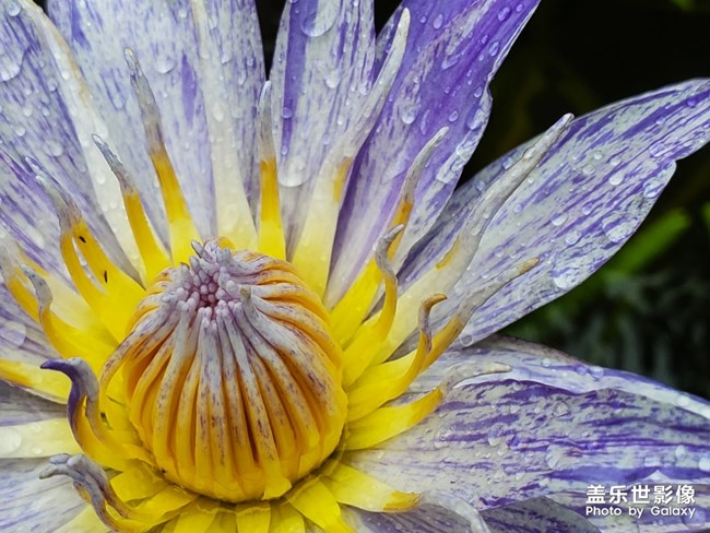 【每周精帖匯151】祝各位爸爸父親節(jié)快樂(lè) 身體安康