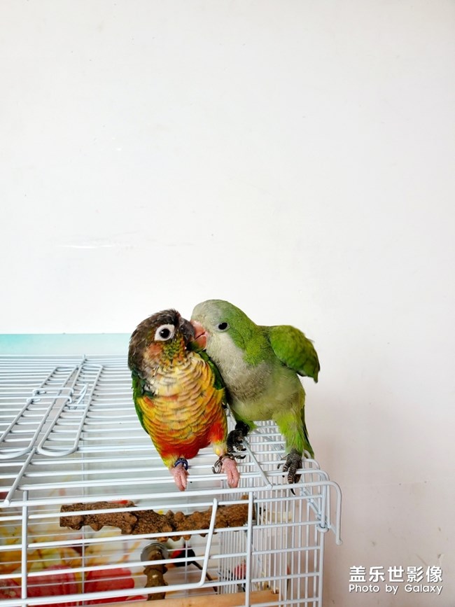 乖乖欺負(fù)貝貝