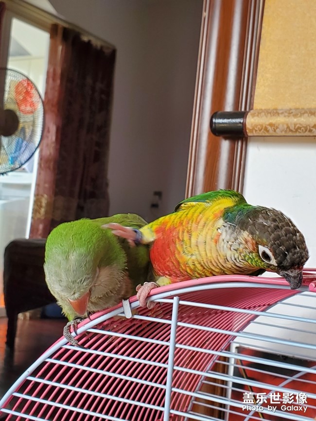 乖乖欺負(fù)貝貝