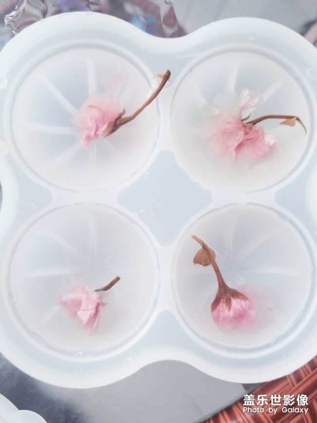 夏日炎炎櫻花冰