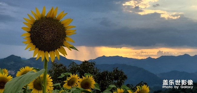 【每周精帖匯160】Galaxy Note10系列閃亮登場(chǎng)