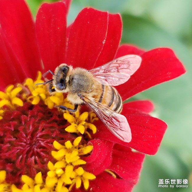 【每周精帖匯160】Galaxy Note10系列閃亮登場(chǎng)