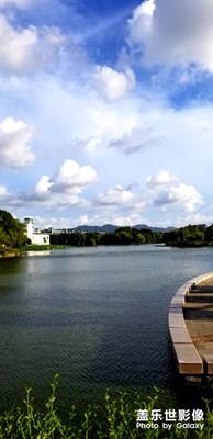 利奇馬的前一天