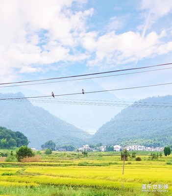 [淺秋時(shí)光]+千層稻浪萬重山
