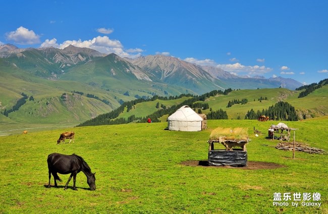 【每周星鮮事03】中秋佳節(jié)的那些故事