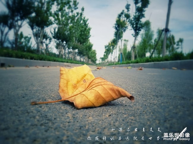 【每周星鮮事05】長(zhǎng)假將至你準(zhǔn)備好了嗎？