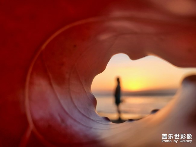 【每周星鮮事05】長(zhǎng)假將至你準(zhǔn)備好了嗎？