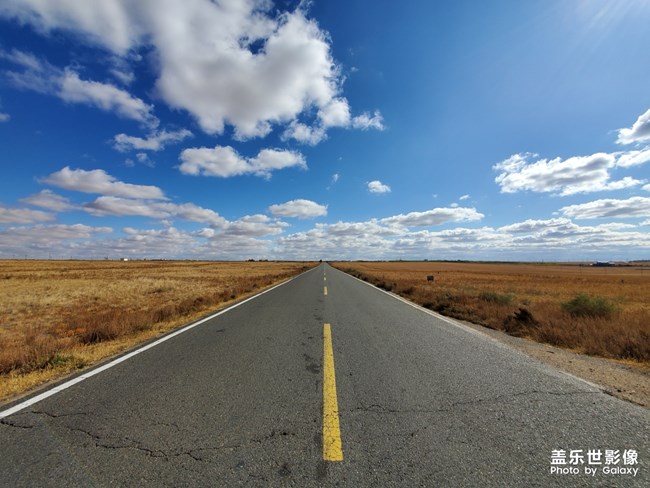 【每周星鮮事07】快來分享你家私房菜的做法吧