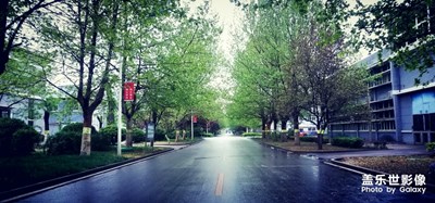 【上下班隨想】+不同的季節(jié)不同美