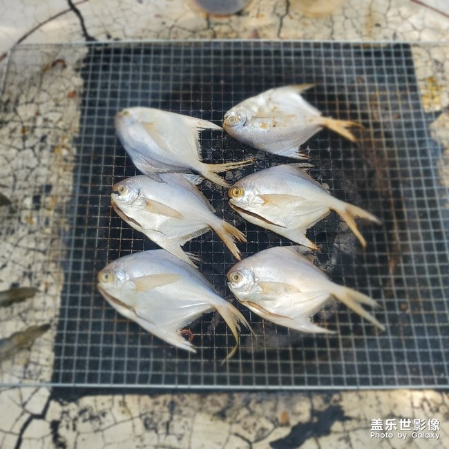 【秋日一餐】+秋日燒烤