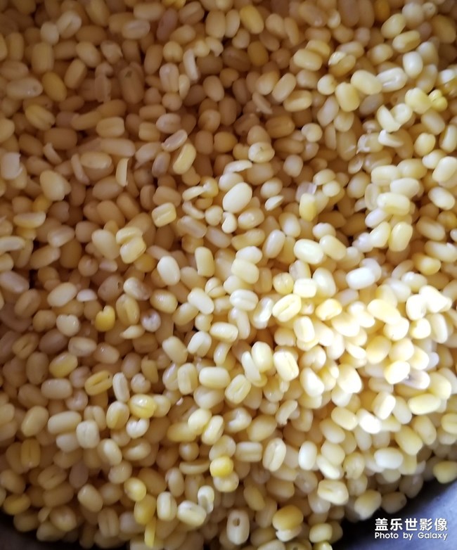 第一次學(xué)會(huì)包粽子