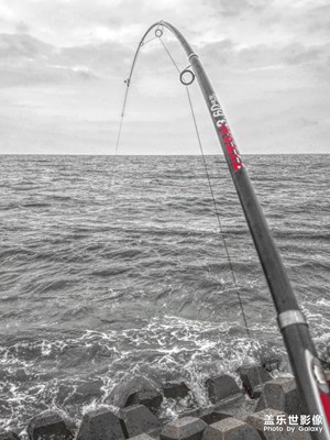 平時的隨拍，繼續(xù)更新。