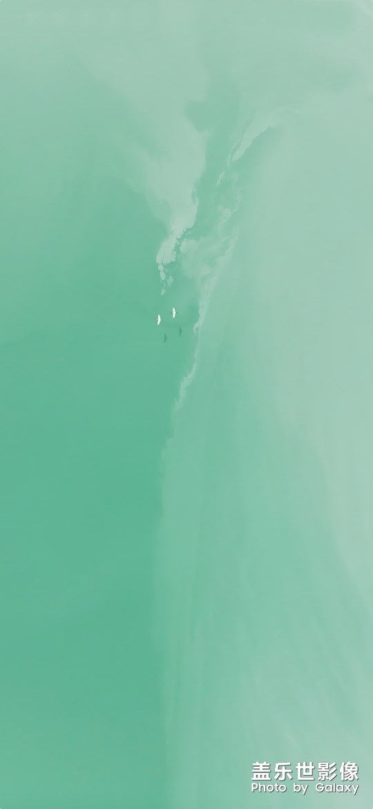 分享四張堅果Pro3的壁紙