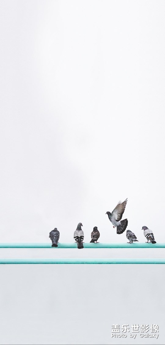 分享四張堅果Pro3的壁紙