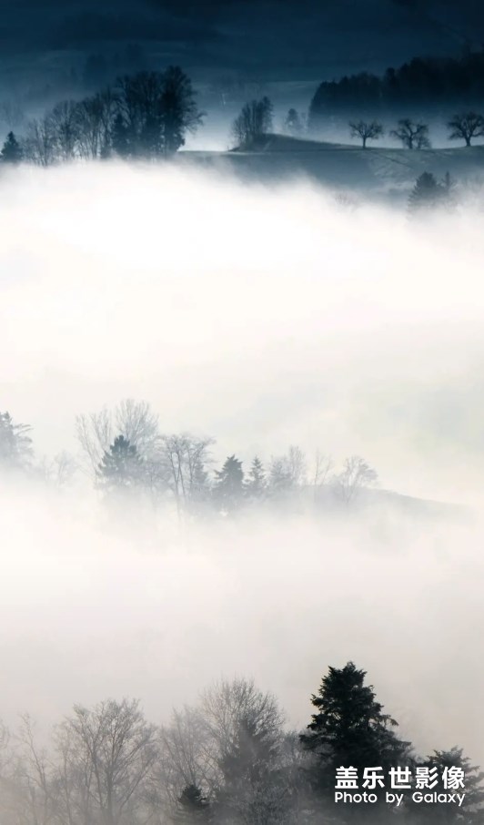 屏氣凝心神，
去除其雜念。
破開重迷霧，
念念阿彌陀。